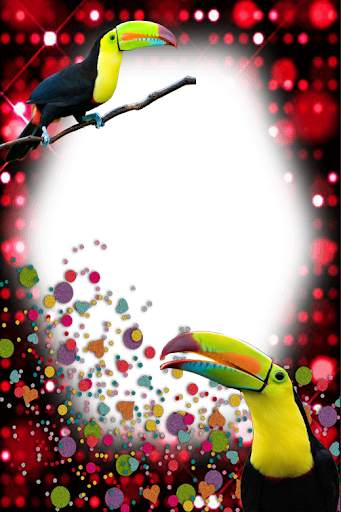 Birds Photo Frames स्क्रीनशॉट 7