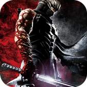 Ninja Live Wallpaper HD 1.0