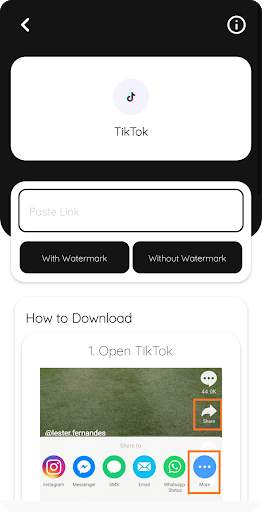 Video Downloader App TikTok No Watermark | SkuyTik screenshot 3