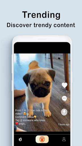 PET MEOMEO - Funny cat, dog viral videos screenshot 2