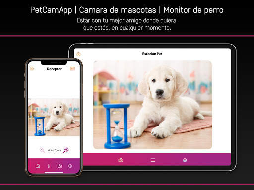 PetCam App - Monitor de Perro screenshot 1