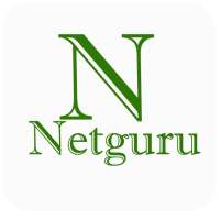Netguru VPN logo