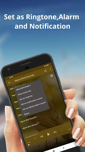 Myna Bird Sounds screenshot 2