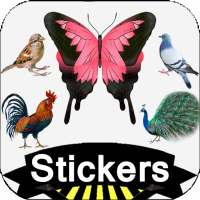 Bird Stickers