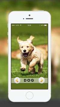 Animal & Birds Sound for kids screenshot 1