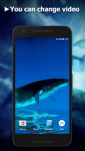 Blue Whale Video Live Wallpaper screenshot 2