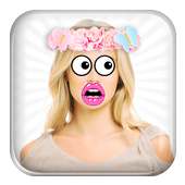 Funny Face Camera Stickers
