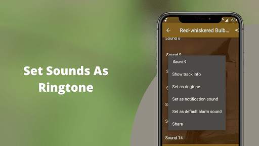 Red-whiskered Bulbul Sounds screenshot 4