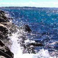 Ocean Waves Live Wallpaper 62 logo
