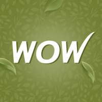 Buywow Online Beauty Shopping logo