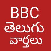 Telugu News icon