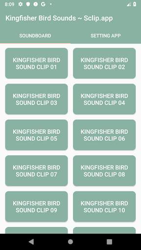 Kingfisher Bird Sound Collections ~ Sclip.app screenshot 1