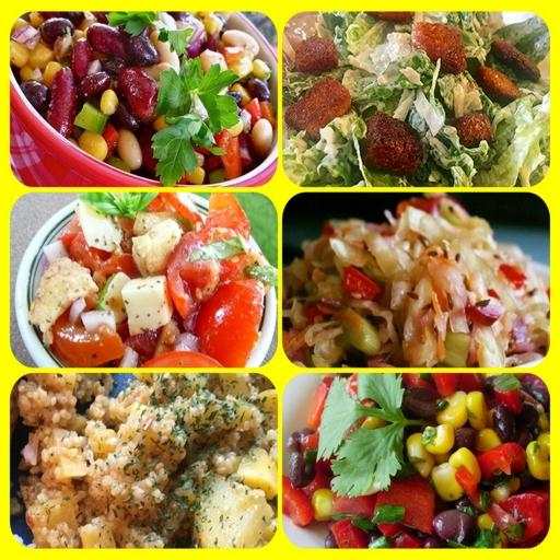 Salad Recipes Offline App 1.2.3