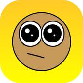 Guide for Pou 3.1