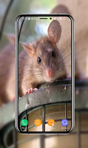 Cute Hamster Wallpaper screenshot 15