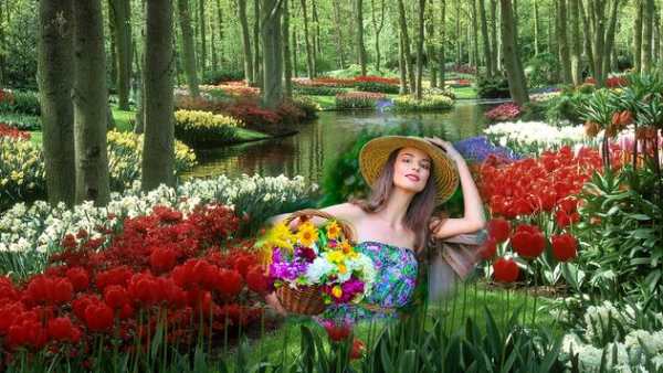 Garden Photo Frame screenshot 5
