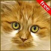 Animal Sounds icon