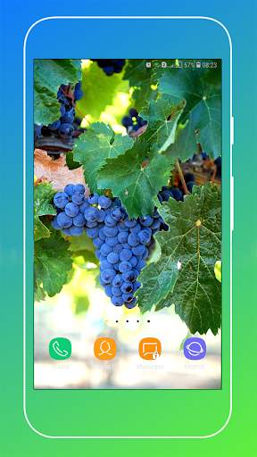 Grapes Wallpapers HD screenshot 10