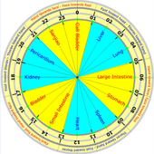Acupuncture Qi Flow Cycle Lite icon