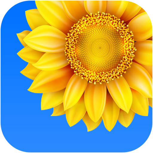 Photo Gallery icon