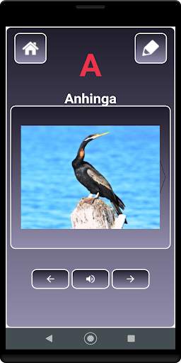 A to Z Birds Name screenshot 1