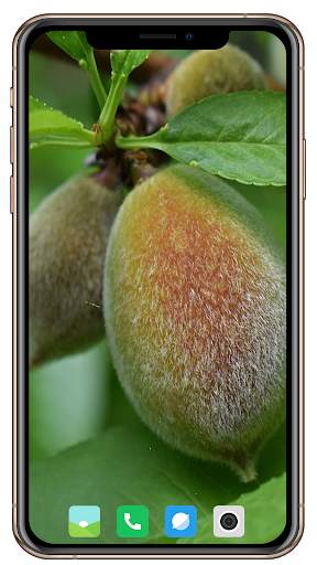 Fruit Trees Wallpaper HD screenshot 7