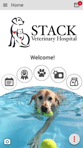 Stack Vet Hospital screenshot 1