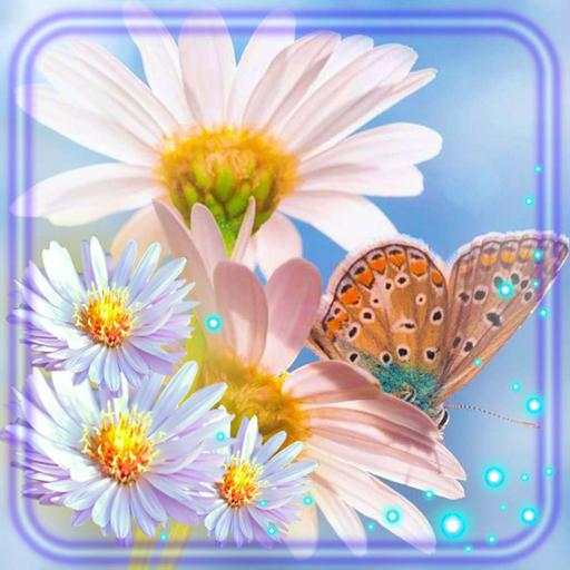 Camomiles Flowers 1.7