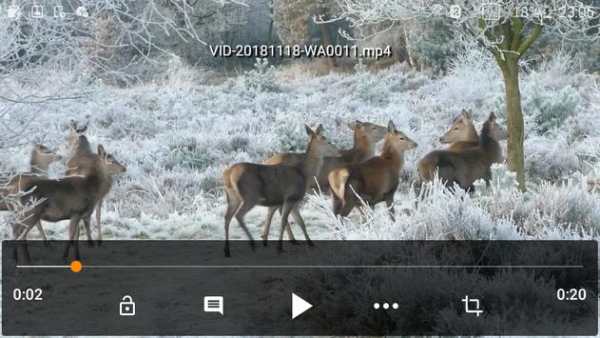 Simple Media Player screenshot 5