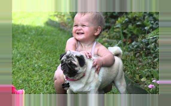 Imagens e retratos dos filhotes de cachorro screenshot 2