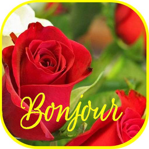 Bonjour Images 3.8