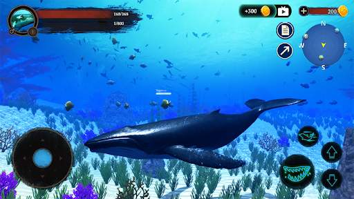 The Humpback Whales screenshot 7