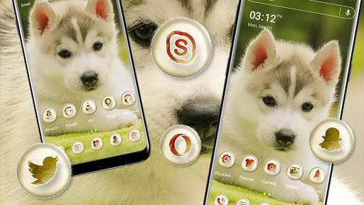 Husky Puppy Launcher Theme screenshot 3