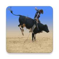 Learn Bull Riding