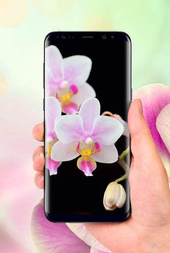 Orchids 3D Free Live Wallpaper screenshot 1