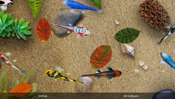 Koi Special Free Live Wallpaper screenshot 11