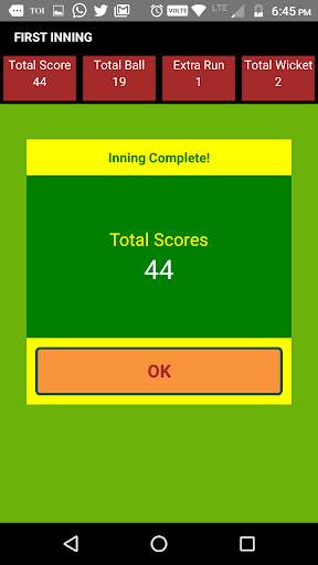 Hit Cricket - World Fastest Cricket Match Game screenshot 5