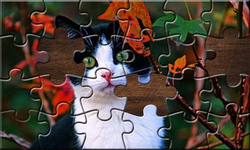 Jigsaw Puzzle: Puzzle Game screenshot 3