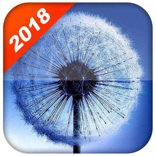 Dandelion Live Wallpaper (HD Background) 2.2.0.2540