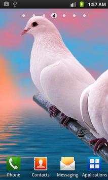 Birds Wallpapers HD скриншот 3