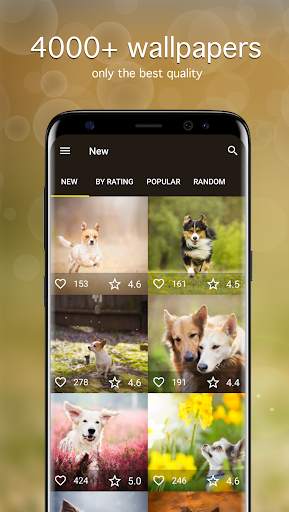 Dog Wallpapers PRO screenshot 1