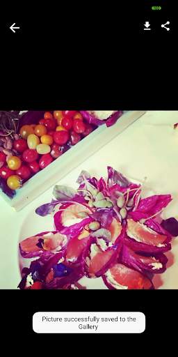 Downloader for Instagram™ screenshot 5