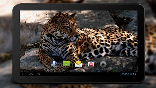 4K Jaguar Live Wallpaper screenshot 5