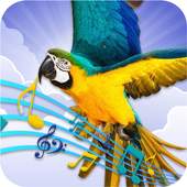 Birds Sounds 1.1
