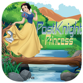 Princess PostKnight Adventure icon