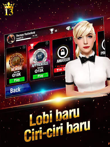 Lucky 13: 13 Card Poker Puzzle screenshot 13