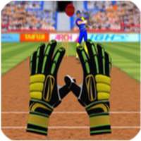 cricket games 2018, real cricket, turbo cricket