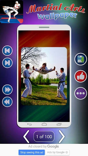 Taekwondo WTF screenshot 7