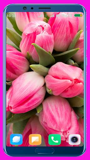 Tulips Flower Wallpaper Best 4K screenshot 14