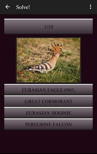 104 Birds Quiz screenshot 3